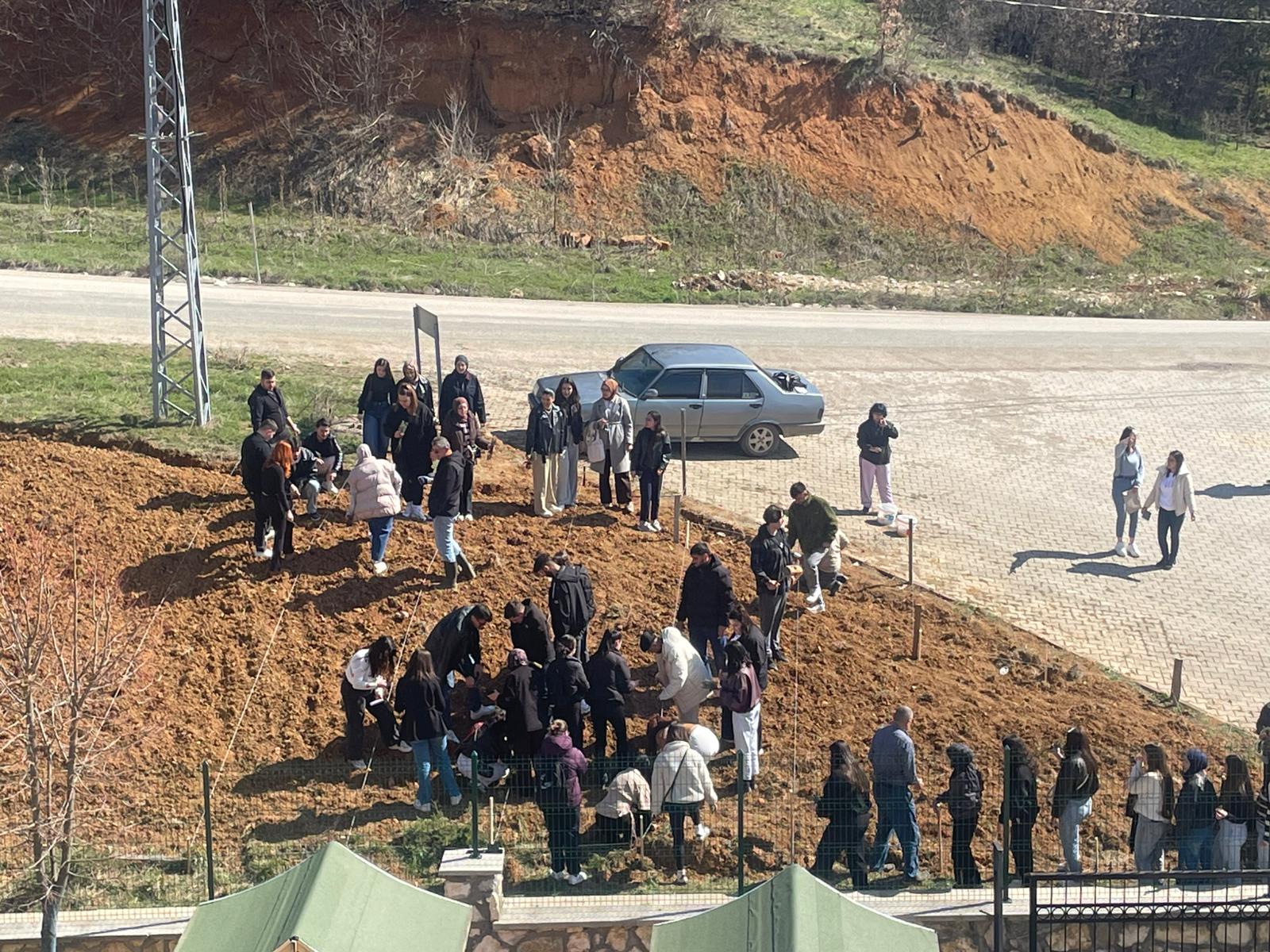 Okulumuz Lavanta Kokacak: Fideler Toprakla Buluştu